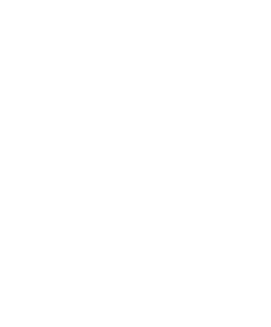 Elin A.Ş.